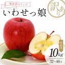【ふるさと納税】<訳あり家庭用りんご>福島県のリンゴ いわせっ娘 約10kg(32~46玉) F7X-0012
