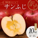 【ふるさと納税】<訳あり家庭用りんご>福島県のリンゴ サンふじ約10kg(32~46玉) F7X-0015