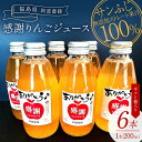 【ふるさと納税】阿部農縁 感謝りんごジュース6本ギフト箱入り サンふじ無添加ストレート果汁100% 200ml×6本 F7X-0024