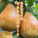 【ふるさと納税】阿部農縁 希少な洋梨ゼネラルレクラーク3kg(6〜8玉) 福島の洋梨 F7X-0026