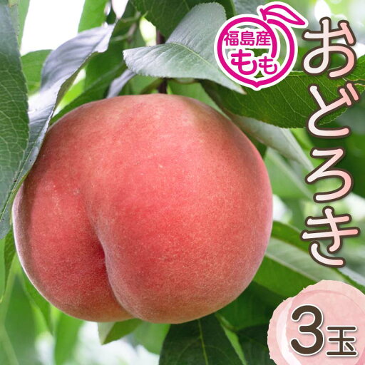 【ふるさと納税】阿部農縁 硬い桃好きにオススメのモモ おどろき 3玉化粧箱入り 福島のもも ギフト・贈答用 F7X-0027 【ふるさと納税】阿部農縁 硬い桃好きにオススメのモモ おどろき 3玉化粧箱入り 福島のもも ギフト・贈答用 F7X-0027