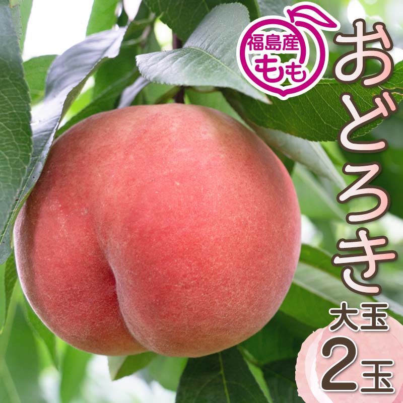 阿部農縁 硬い桃好きにオススメのモモ おどろき 大玉2玉化粧箱入り 福島のもも ギフト・贈答用