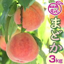 【ふるさと納税】阿部農縁 福島の桃 まどか3kg(8〜12玉) ギフト・贈答用 ふくしまの完熟もも F7X-0045
