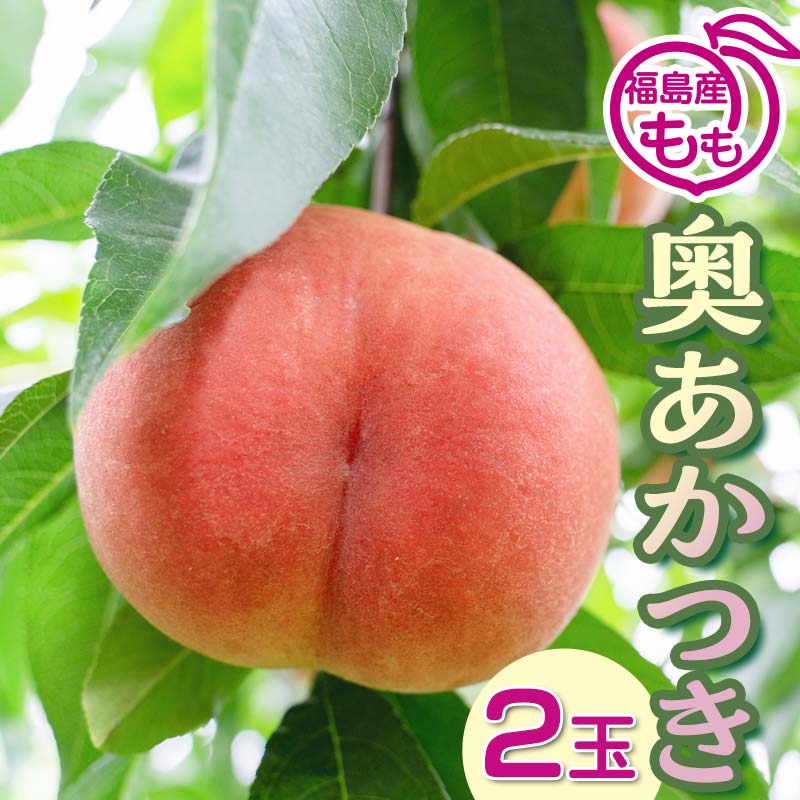 阿部農縁 福島の桃 奥あかつき2玉化粧箱入り ギフト・贈答用 ふくしまの完熟もも