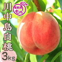 【ふるさと納税】阿部農縁 福島の桃 川中島白桃3kg(8〜12玉) ギフト・贈答用 ふくしまの完熟もも F7X-0051