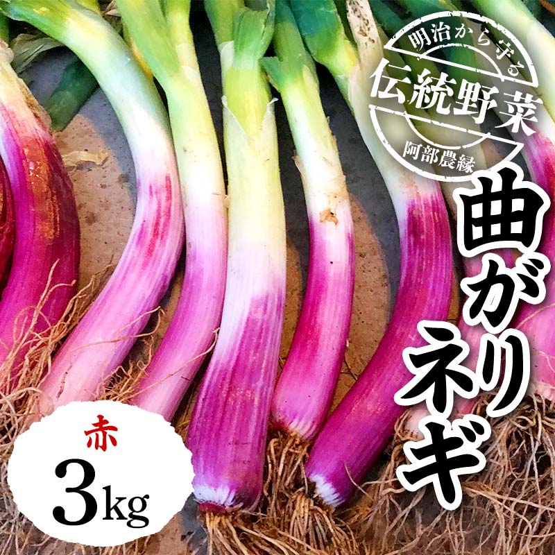 【ふるさと納税】明治から守る伝統野菜「曲がりネギ 赤」約3kg F7X-0074