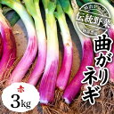 【ふるさと納税】明治から守る伝統野菜「曲がりネギ 赤」約3kg F7X-0074