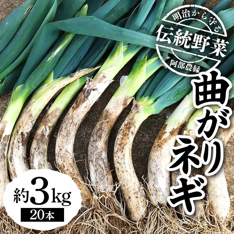明治から守る伝統野菜「曲がりネギ」約3kg