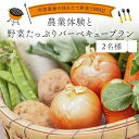 【ふるさと納税】阿部農縁の採れたて野菜でBBQ!農業体験と野菜たっぷりバーベキュープラン 2名様 F7X-0085