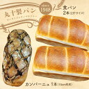 【ふるさと納税】丸十製パン もっちり食感のこだわり食パン&具材ぎっしり贅沢カンパーニュ F7X-0094