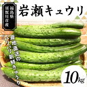 【ふるさと納税】福島県須賀川市産 岩瀬キュウリ10kg 産地直送のパリパリ新鮮きゅうり F7X-0132