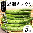 【ふるさと納税】福島県須賀川市産 岩瀬キュウリ5kg 産地直送のパリパリ新鮮きゅうり F7X-0133