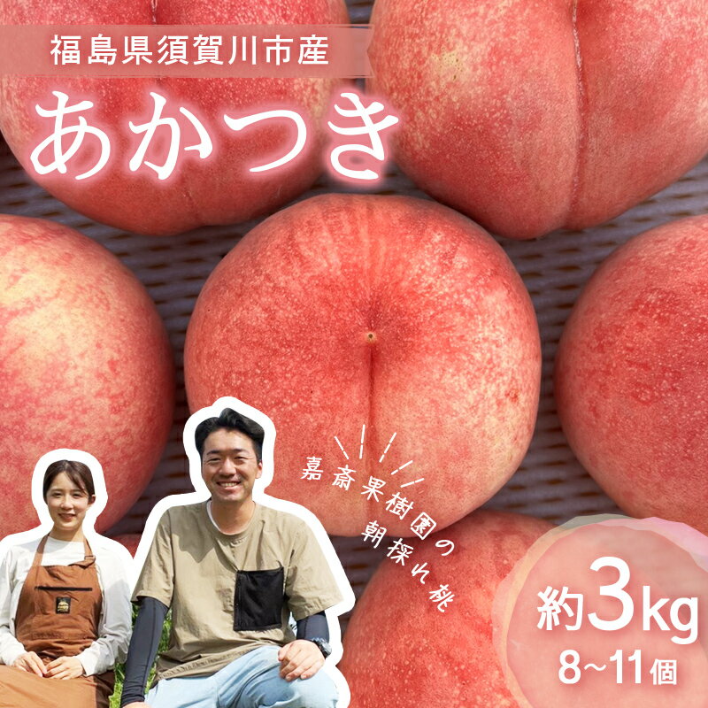 【ふるさと納税】<先行受付> 嘉斎果樹園の桃「あかつき」約3kg(8~11個) もも モモ 桃 デザート フルーツ 果物 くだもの 果実 食品 F7X-0139