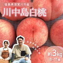 【ふるさと納税】<先行受付> 嘉斎果樹園の桃「川中島白桃」約3kg(8~11個) もも モモ 桃 デザート フルーツ 果物 くだもの 果実 食品 F7X-0141