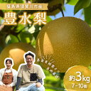 【ふるさと納税】<先行受付> 嘉斎果樹園の梨「豊水」約3kg(7~10個) なし ナシ 梨 デザート フルーツ 果物 くだもの 果実 食品 F7X-0142