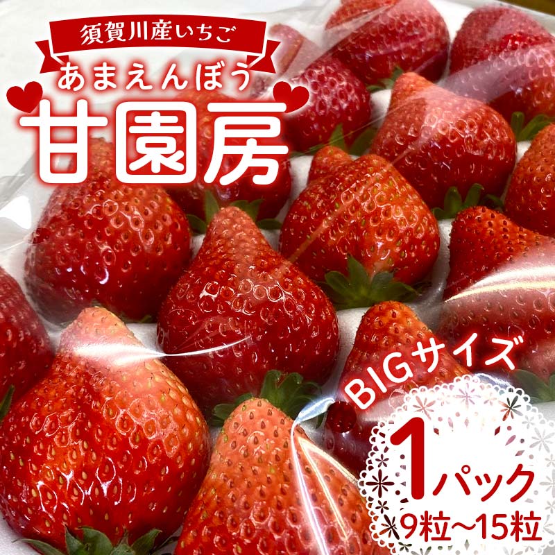 須賀川産いちご「甘園房〜あまえんぼう〜」BIGサイズ 1パック(9粒〜15粒) いちご イチゴ 苺 デザート フルーツ 果物 くだもの 果実 食品
