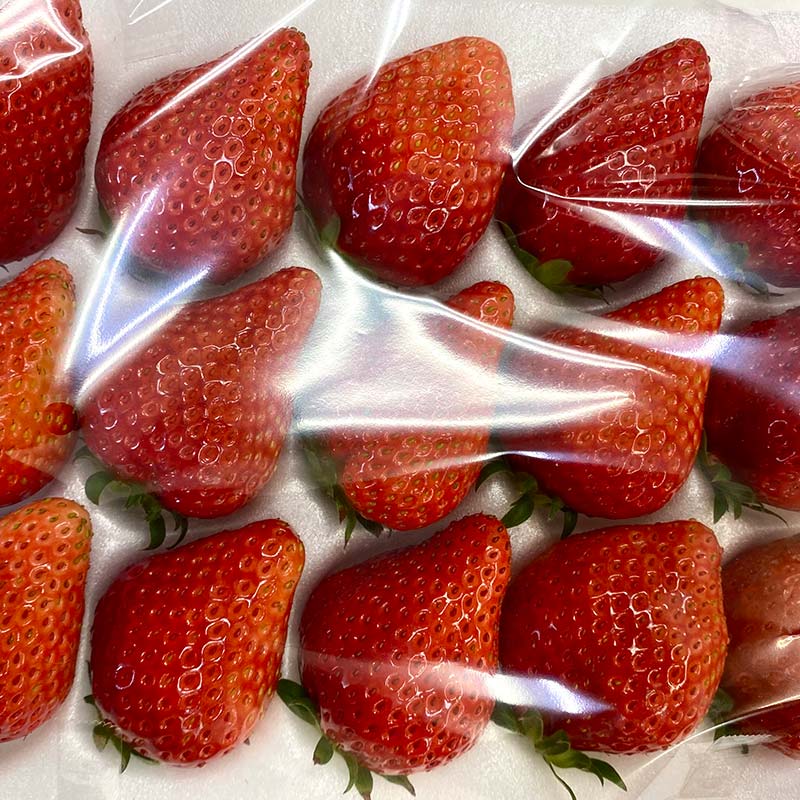 福島県須賀川市の画像2