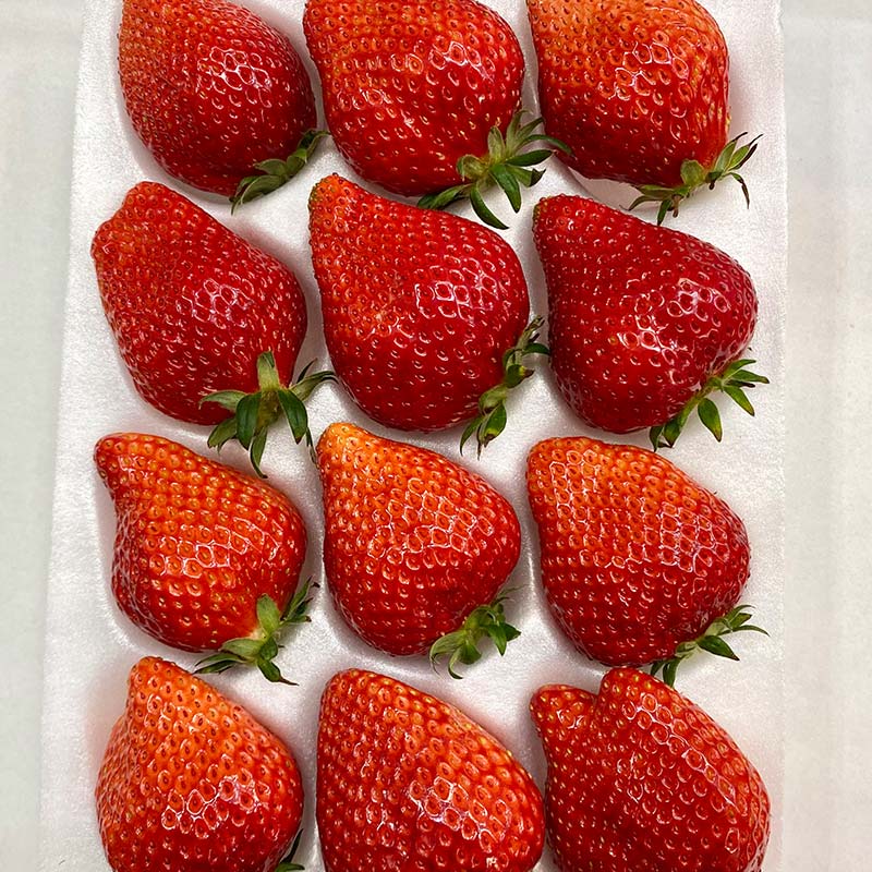 福島県須賀川市の画像3