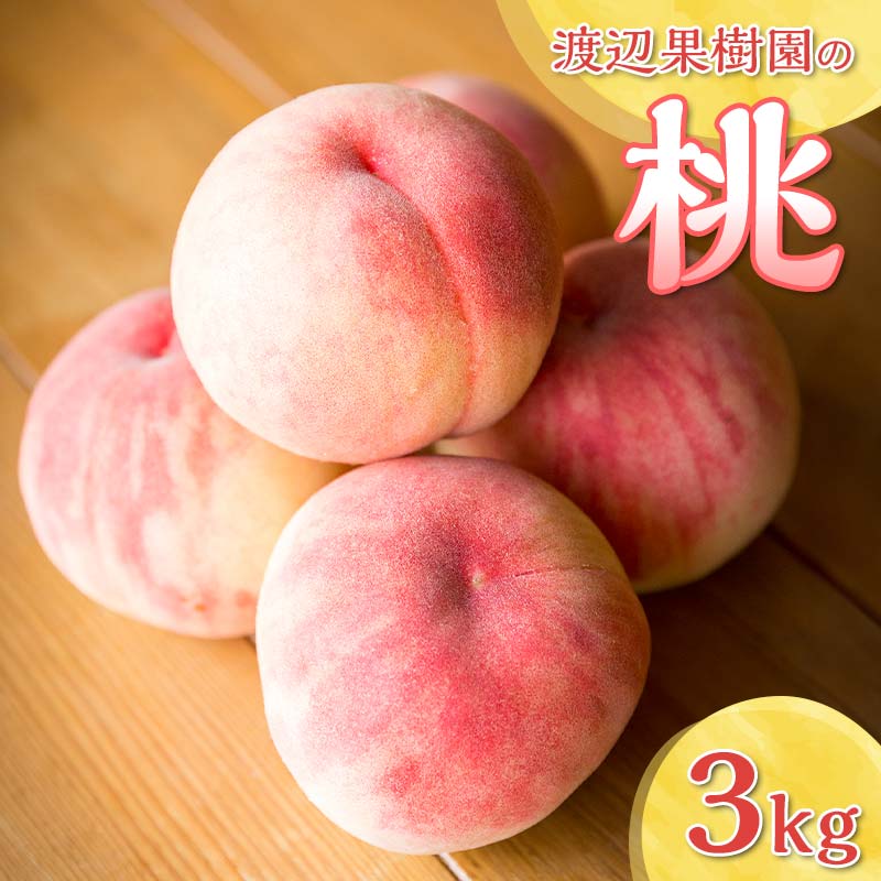 【ふるさと納税】渡辺果樹園の桃　約3kg F7X-0161のサムネイル