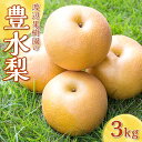 【ふるさと納税】渡辺果樹園の豊水梨 約3kg<9月上旬〜9月下旬にお届け> F7X-0163
