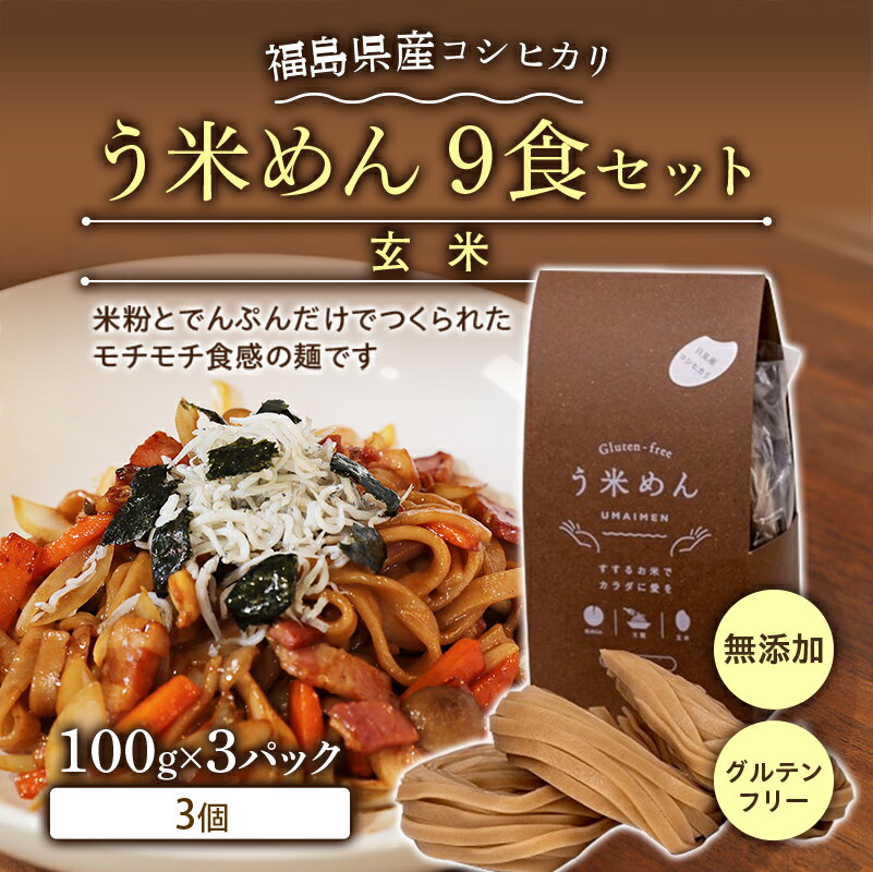 コシヒカリ玄米 う米めん 9食セット 無添加 グルテンフリー