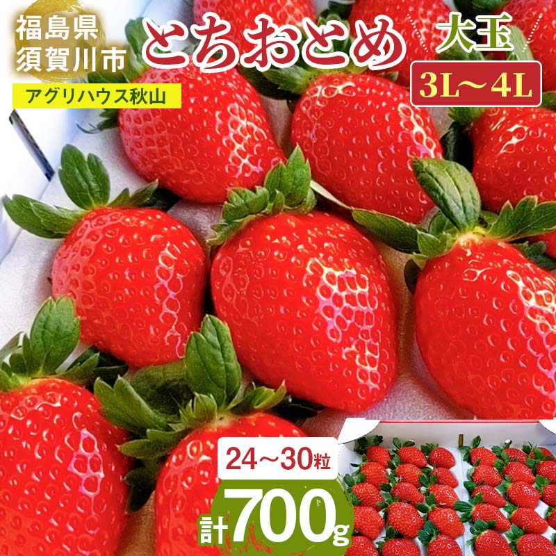 【ふるさと納税】<アグリハウス秋山> とちおとめ デラックス3L〜4L 大玉 24〜30粒 F7X-0214