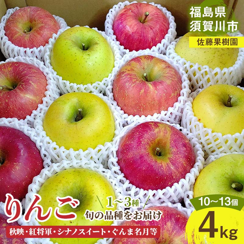 りんご [佐藤果樹園] 4kg 10〜13個 1〜3種類
