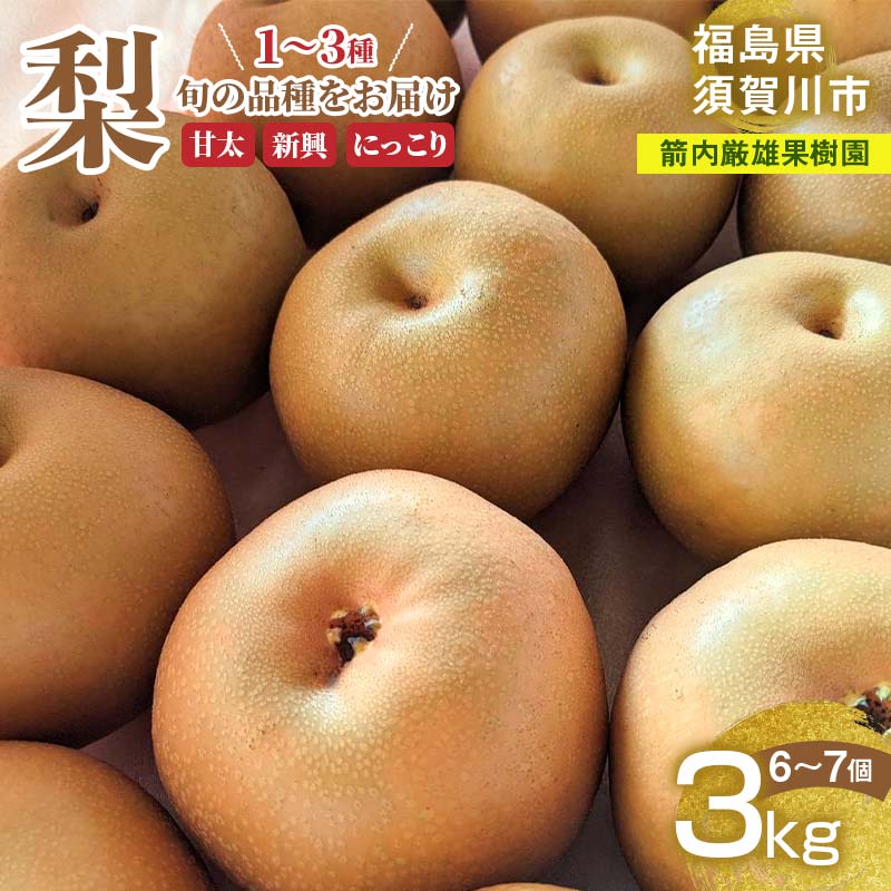 商品画像2