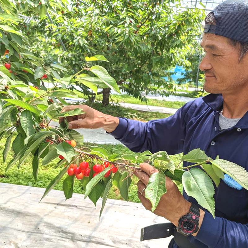 福島県須賀川市の画像3