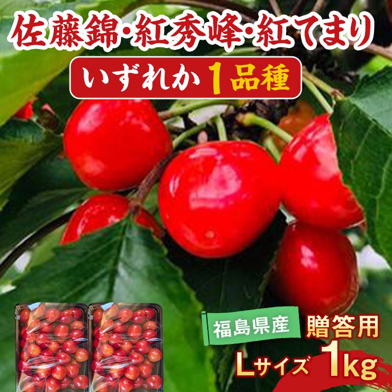 【ふるさと納税】【先行予約】さくらんぼ 佐藤錦 紅秀峰 紅てまりのどれか1品種 1kg Lサイズ 贈答用 ＜有我果樹園＞ F7X-0229