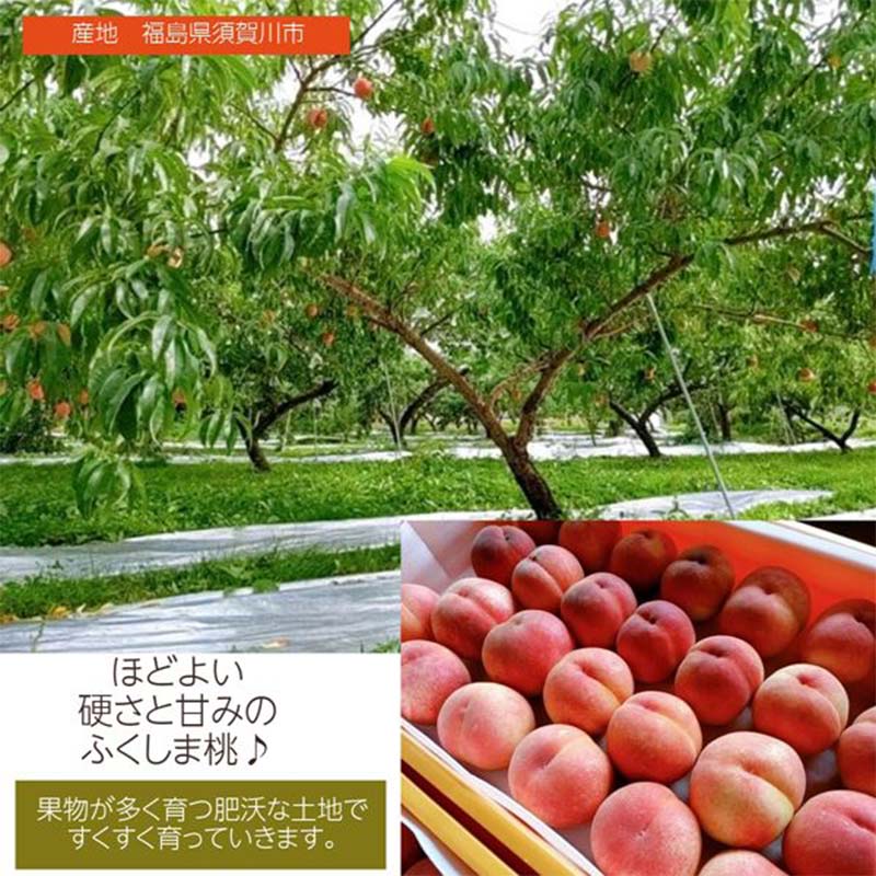 福島県須賀川市の画像2