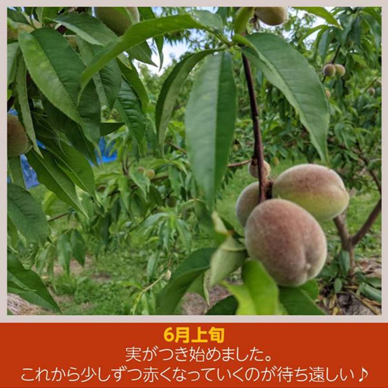 福島県須賀川市の画像3