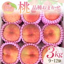 【ふるさと納税】桃 品種おまかせ 3kg 9〜12個 もも 贈答 プレゼント <佐藤果樹園> モモ 桃 デザート フルーツ 果物 F7X-0281