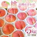 【ふるさと納税】桃 品種おまかせ 5kg 13〜18個 もも 贈答 プレゼント <佐藤果樹園> モモ 桃 デザート フルーツ 果物 F7X-0282