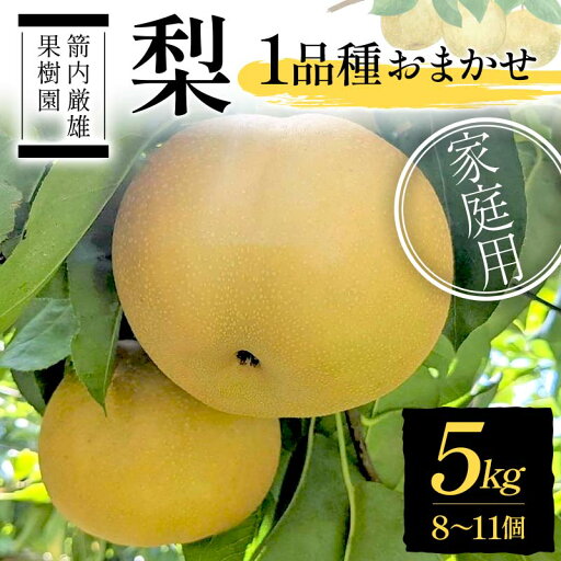 【ふるさと納税】梨 家庭用 1品種おまかせ 5kg 8~11個 <箭内厳雄果樹園> なし ナシ 梨 デザート フルーツ 果物 くだもの F7X-0283 【ふるさと納税】梨 家庭用 1品種おまかせ 5kg 8~11個 <箭内厳雄果樹園> なし ナシ 梨 デザート フルーツ 果物 くだもの F7X-0283