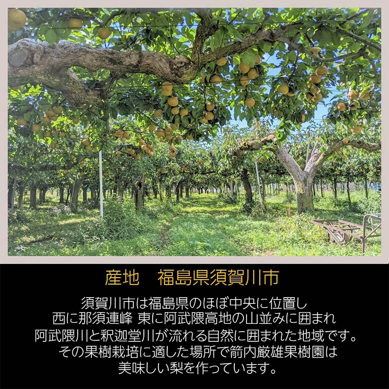 【ふるさと納税】梨 家庭用 1品種おまかせ 5kg 8～11個 ＜箭内厳雄果樹園＞ なし ナシ 梨 デザート フルーツ 果物 くだもの F7X-0283