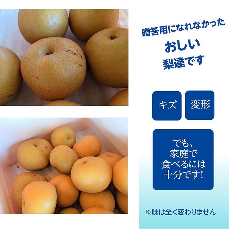 【ふるさと納税】梨 家庭用 1品種おまかせ 5kg 8～11個 ＜箭内厳雄果樹園＞ なし ナシ 梨 デザート フルーツ 果物 くだもの F7X-0283