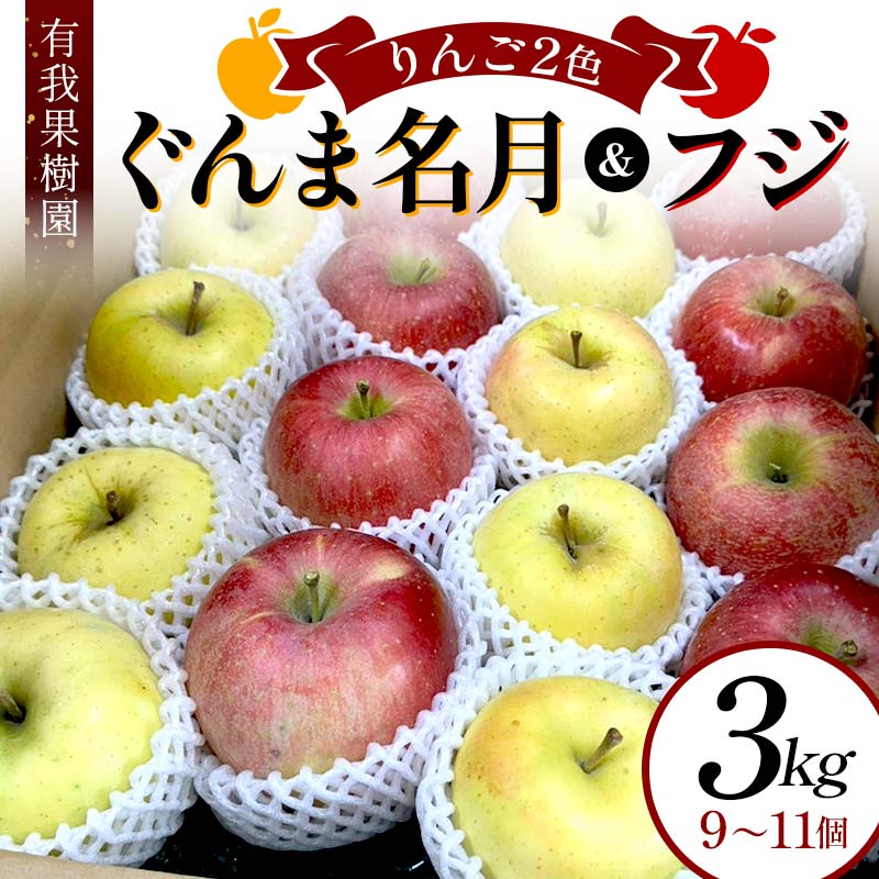 【ふるさと納税】りんご 2色 リンゴ ぐんま名月 フジ 3kg 9～11個 御歳暮 ＜有我果樹園＞ りんご リン..