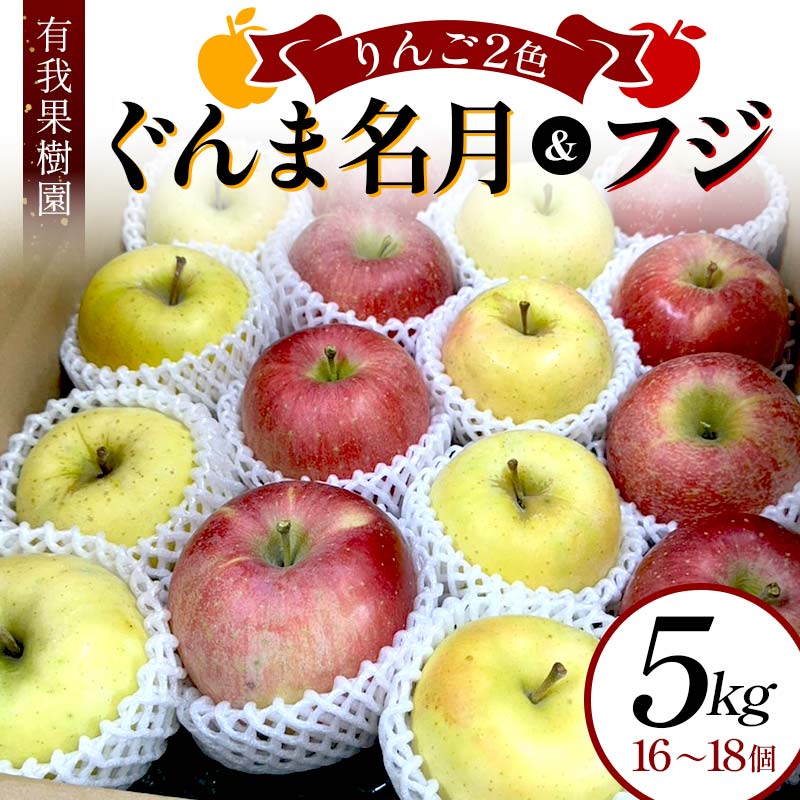 【ふるさと納税】りんご 2色 リンゴ ぐんま名月 フジ 5kg 16～18個 御歳暮 ＜有我果樹園＞ りんご リン..