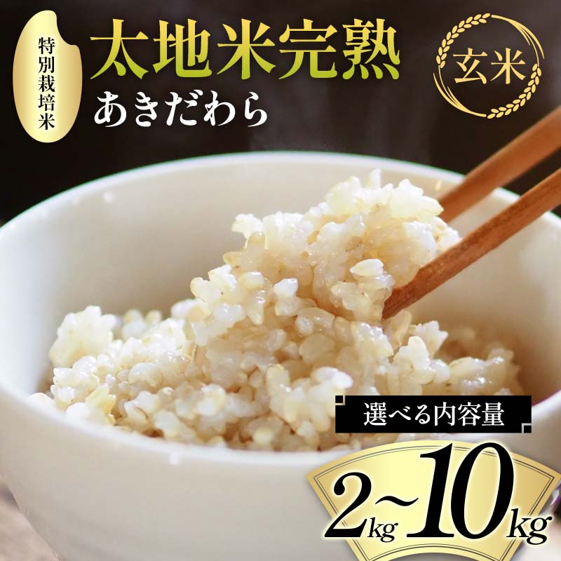 【ふるさと納税】\選べる内容量/ 2024年産 特別栽培米 太地米完熟 【あきだわら】 玄米 2kg 3kg 5kg 10kg ブランド米 お米 人気 F7X-0307var
