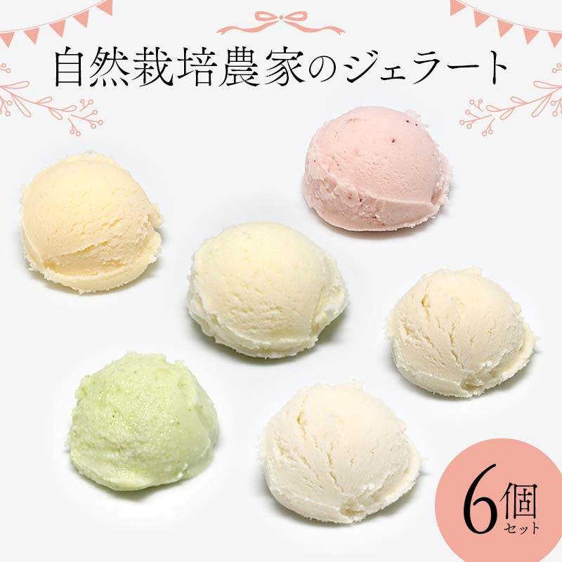 自然栽培農家のジェラート 6個セット ジェラート デザート スイーツ 菓子 食品
