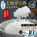 【ふるさと納税】\選べる回数・内容量/ お米の定期便 農薬不使用米 太地米完熟 【こしひかり】 白米 2kg 3kg 5kg 10kg × 3か月 6か月 9か月 12か月 ブランド米 お米 精米 白米 人気 F7X-0396var