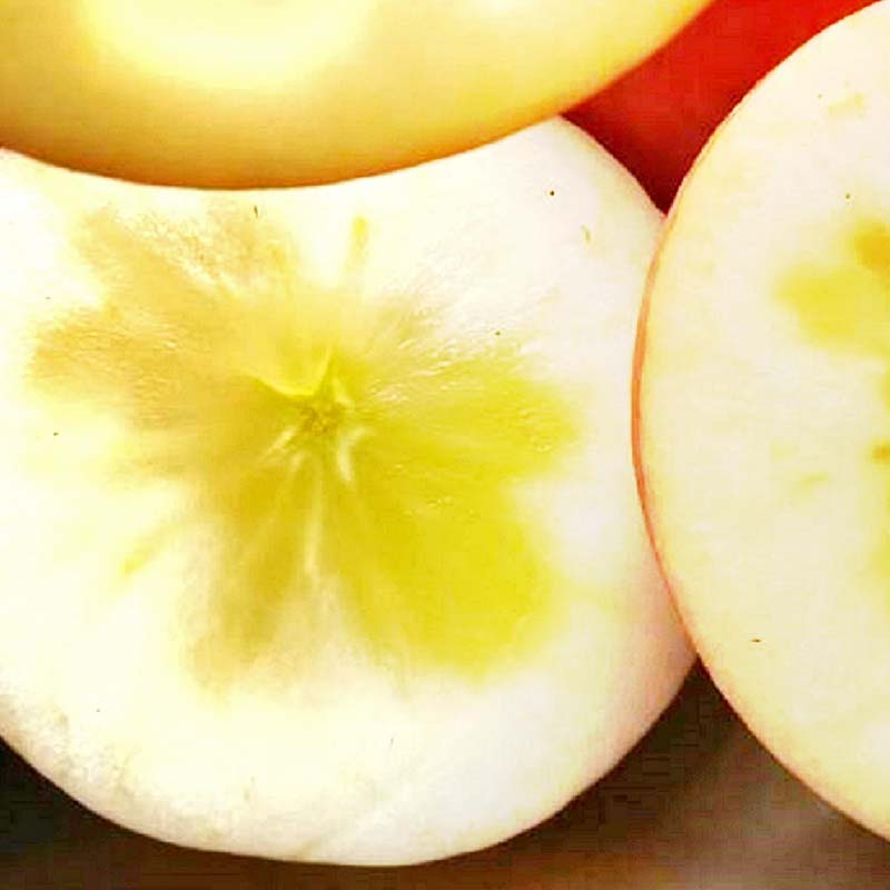 【ふるさと納税】＼選べる容量／ 有機農薬使用・完全無肥料栽培「サンふじ」葉とらずりんご約2kg・約3kg・約5kg F7X-0466var