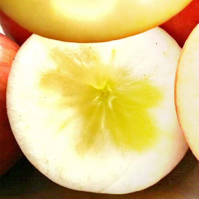 【ふるさと納税】＼選べる容量／ 家庭用 有機農薬使用・完全無肥料栽培「サンふじ」葉とらずりんご約2kg・約3kg・約5kg F7X-0469var