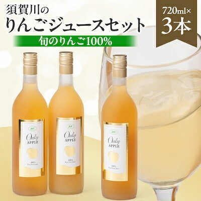 須賀川のりんごジュースセット(1)720ml×3本【1384983】