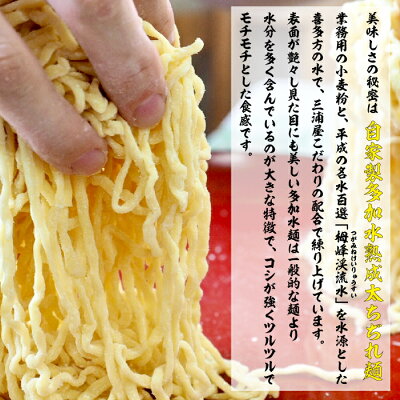 福島県喜多方市 【ふるさと納税】【年内発送】喜多方ラーメン ラーメン 10食 無化調 しょうゆ みそ 自家製 生麺 三浦屋 画像2