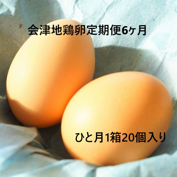 会津地鶏卵定期便(1箱20個)6ヶ月間