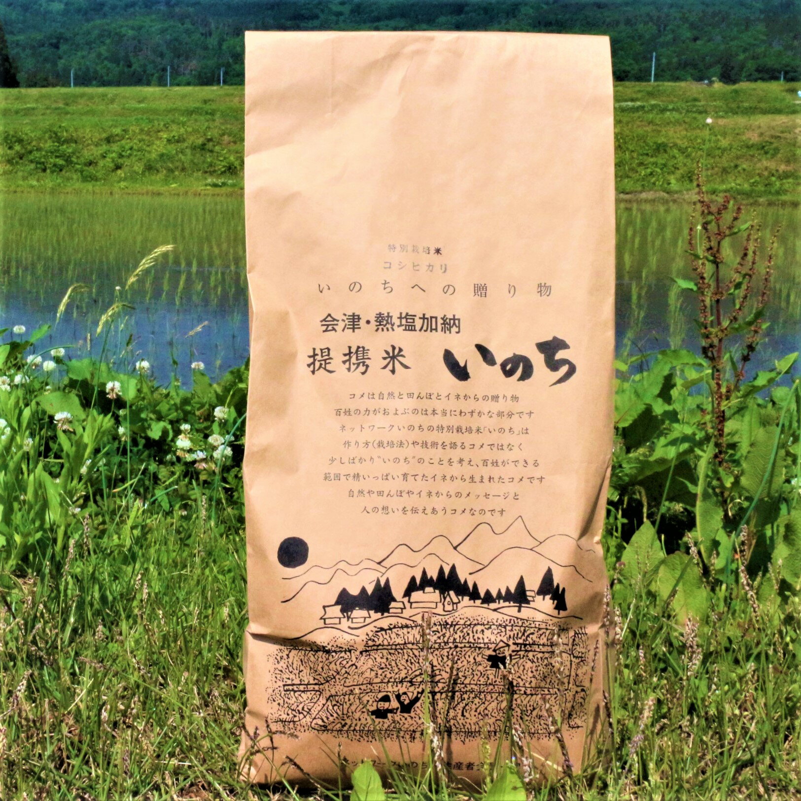 【ふるさと納税】コシヒカリ 白米 5kg 特別栽培米 全農福