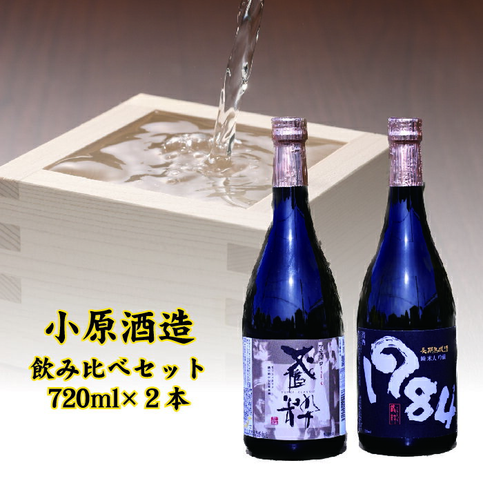 【ふるさと納税】【年内発送】日本酒 大吟醸純米 マエストロ 