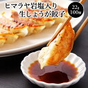 【ふるさと納税】ヒマラヤ岩塩入り生しょうが餃子(22g×100個) 【07208-0284】